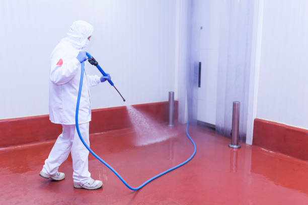 Reliable Forney, TX  Pressure Washing Services Solutions