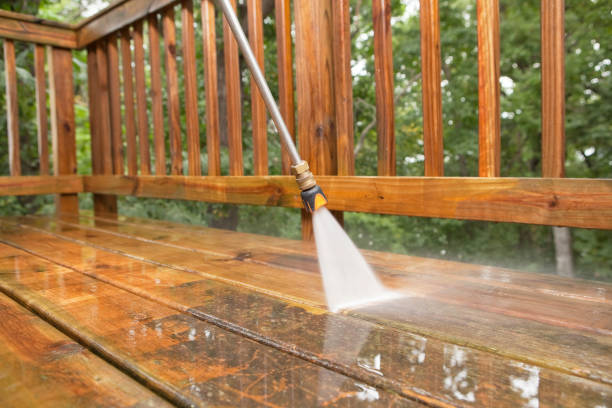 Best Roof Washing  in Forney, TX