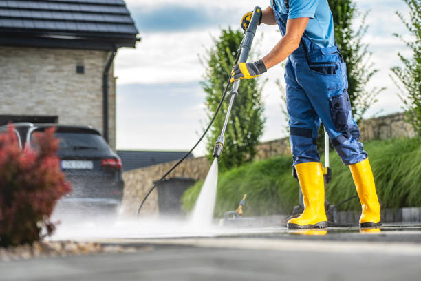 Best Solar Panel Cleaning  in Forney, TX
